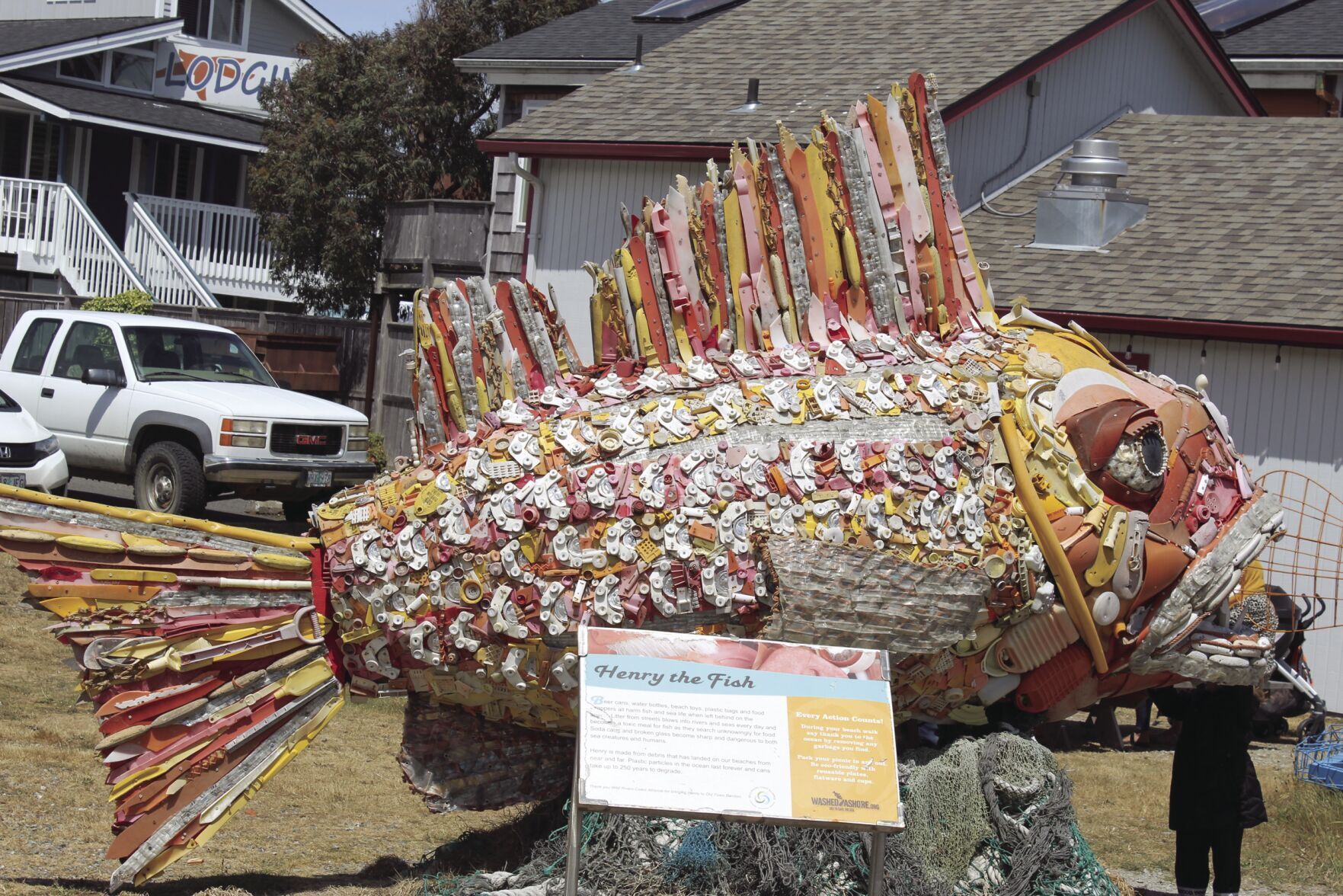 Washed Ashore